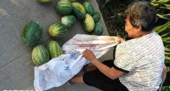 武安吃瓜爆料最新,揭秘娱乐圈最新热点事件  第3张