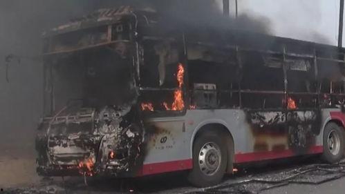 石家庄爆料逆行事件最新,惊险瞬间引发全民关注  第3张