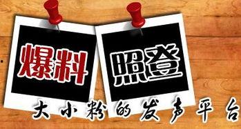 爆料新闻官方爆料平台,揭秘事件真相 第1张 爆料新闻官方爆料平台,揭秘事件真相 第1张