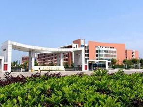 湖南城市学院爆料视频,揭秘校园内幕，真相令人震惊！